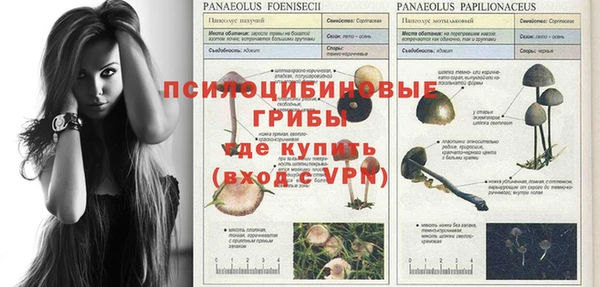 таблы Вяземский